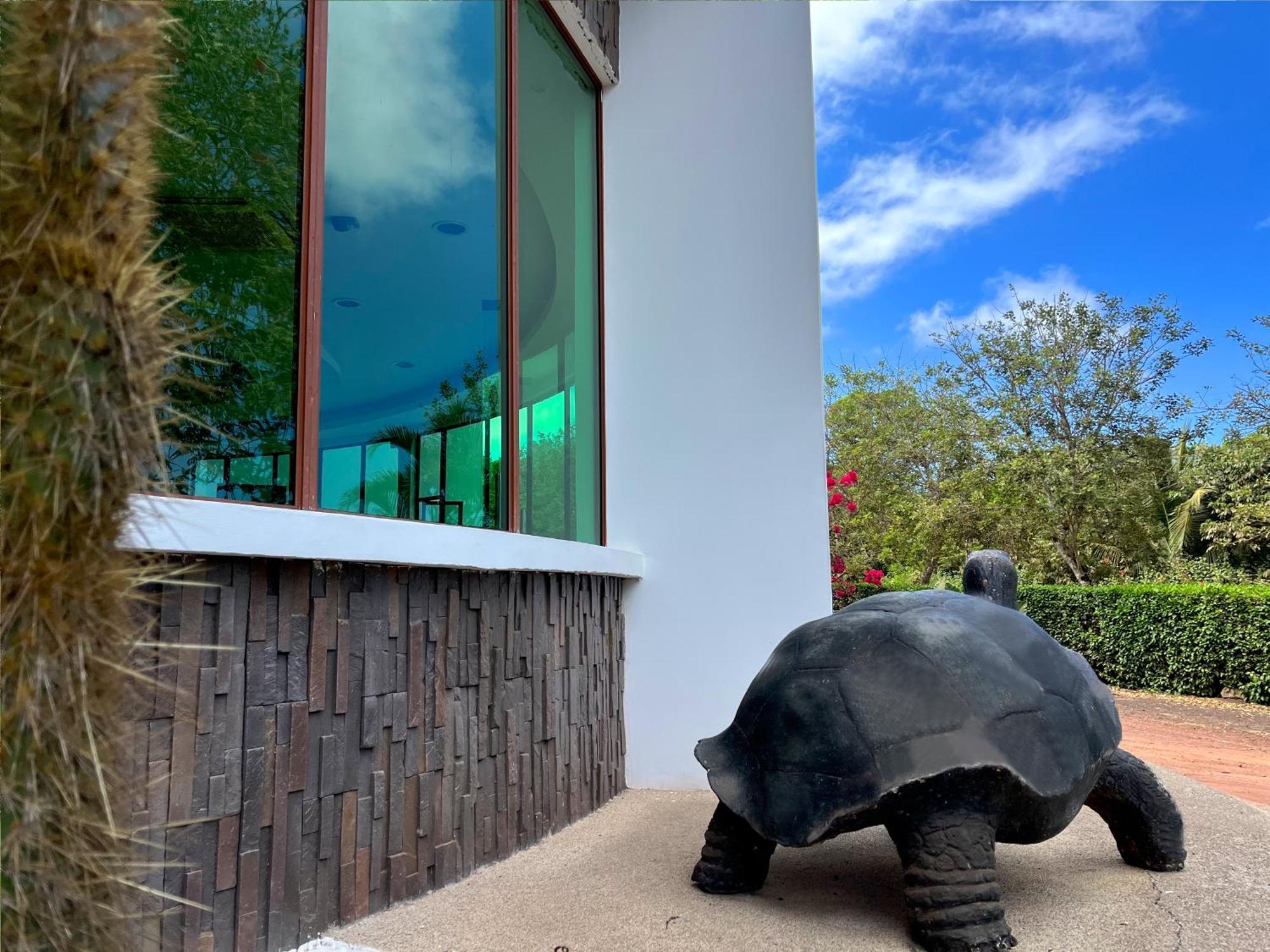 Hotel Tortuga Bay - Galapagos Puerto Ayora  Bagian luar foto