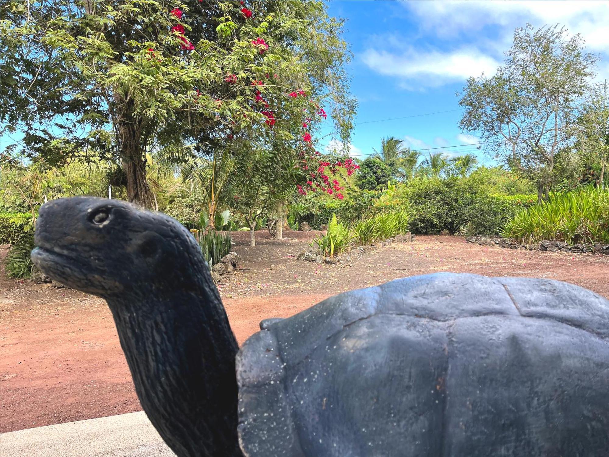 Hotel Tortuga Bay - Galapagos Puerto Ayora  Bagian luar foto